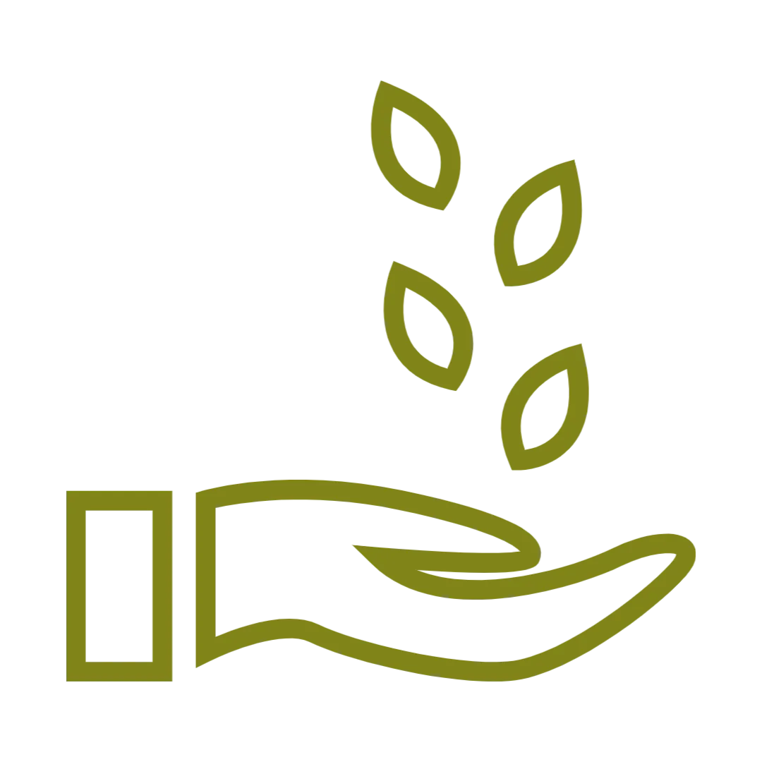 Hand with Seeds