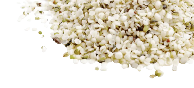 Hemp Seeds Header